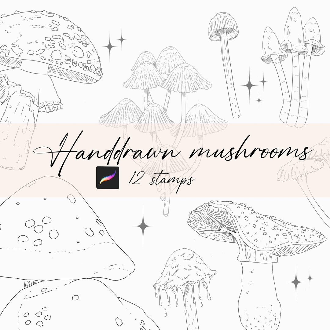Mushroom - Procreate Stamps - Etsy