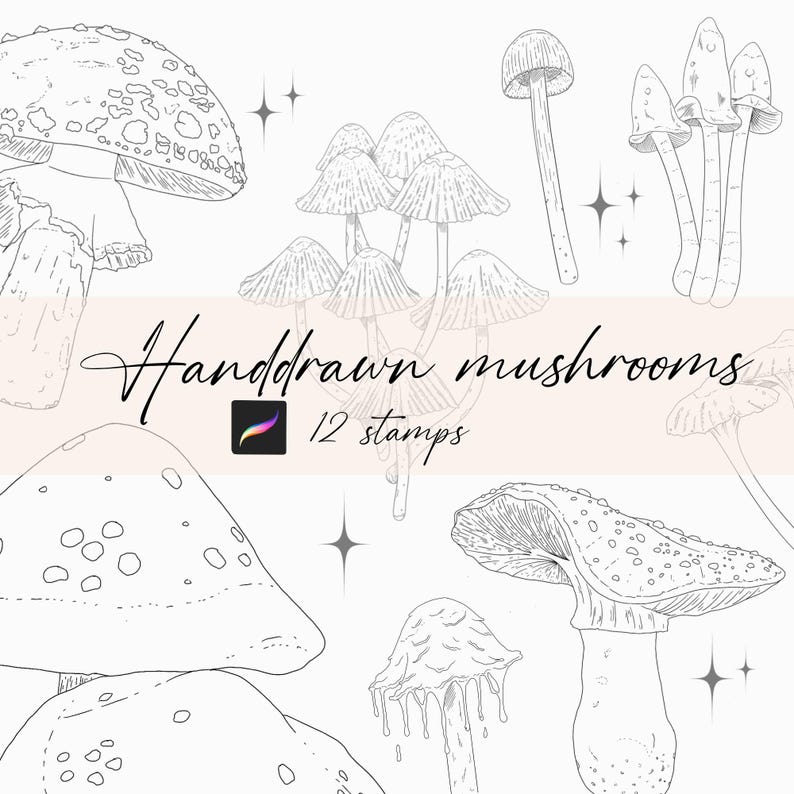 Mushroom - Procreate Stamps - Etsy