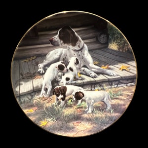 Puede incluir: Un perro blanco y marrón manchado con cuatro cachorros blancos y marrones manchados en un porche de madera con hojas de otoño. La madre está tumbada y los cachorros juegan a su alrededor.