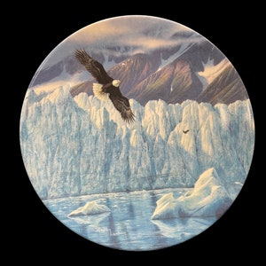 Vintage Fine China Collector Plate "Icy Majesty" by Naturalist artist Hayden  Lambson, First Issue in Alaska: The Last Frontier, 1991