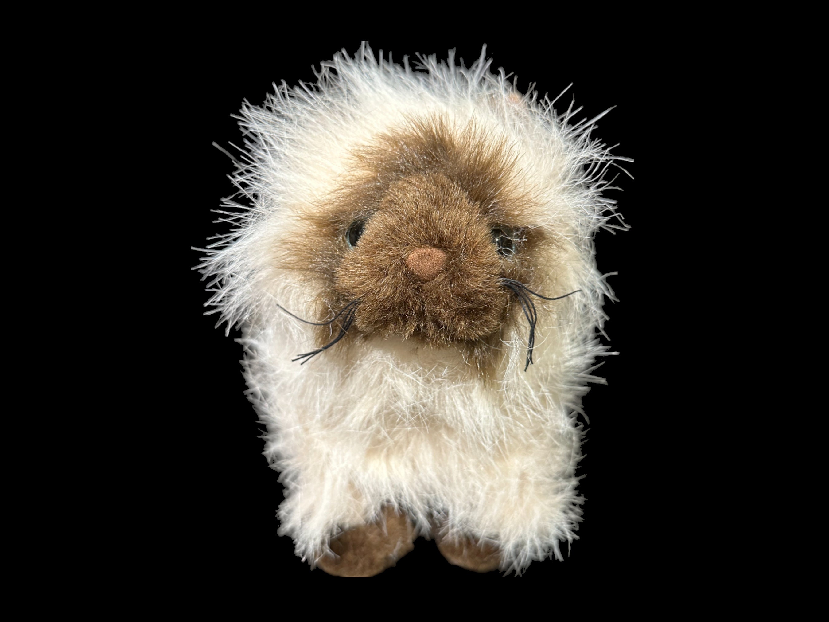 Webkinz Ganz Himalayan Cat Stuffed Animal Plush Toy 9 Inch No Code Webkinz Plush Ganz Webkinz Cat Plush Webkinz Himalayan Animal Plush Etsy UK