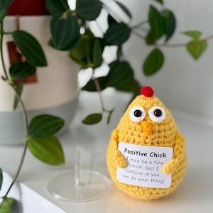 Positive Crochet Chicken, Handmade Crochet Animals, Emotional Support Gift, Birthday Gift Idea for Friends and Family, Thinking of You Gift