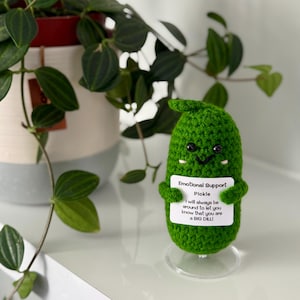 Pepinillo de crochet positivo, verduras de crochet hechas a mano, regalo de apoyo emocional, idea de regalo de cumpleaños para amigos y familiares, regalo para pensar en ti