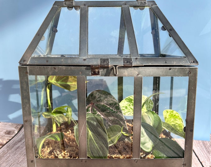 Rustic Metal & Glass Greenhouse Terrarium, Indoor Use Terrarium
