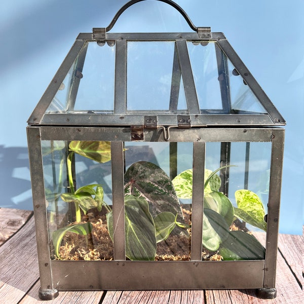 Indoor Greenhouse Etsy