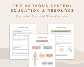 Nervous System Psychoeducation: Fight or Flight System (PDF)