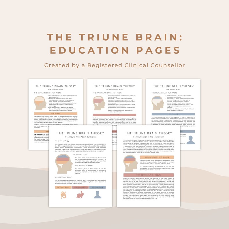 The Triune Brain Model of Brain Development | Neuroscience ...