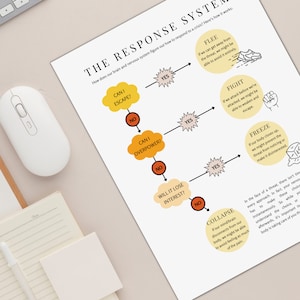 Trauma and Trauma Informed Care Educational Bundle image 7