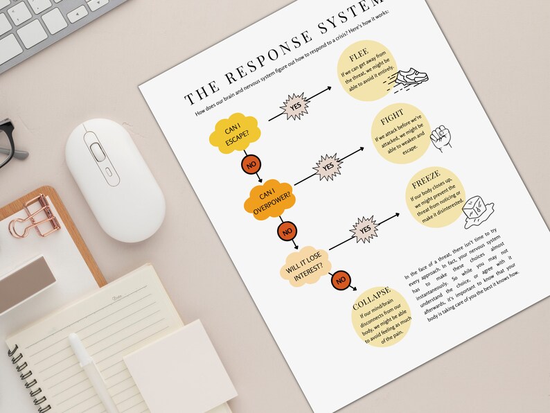 Trauma and Trauma Informed Care Educational Bundle image 7