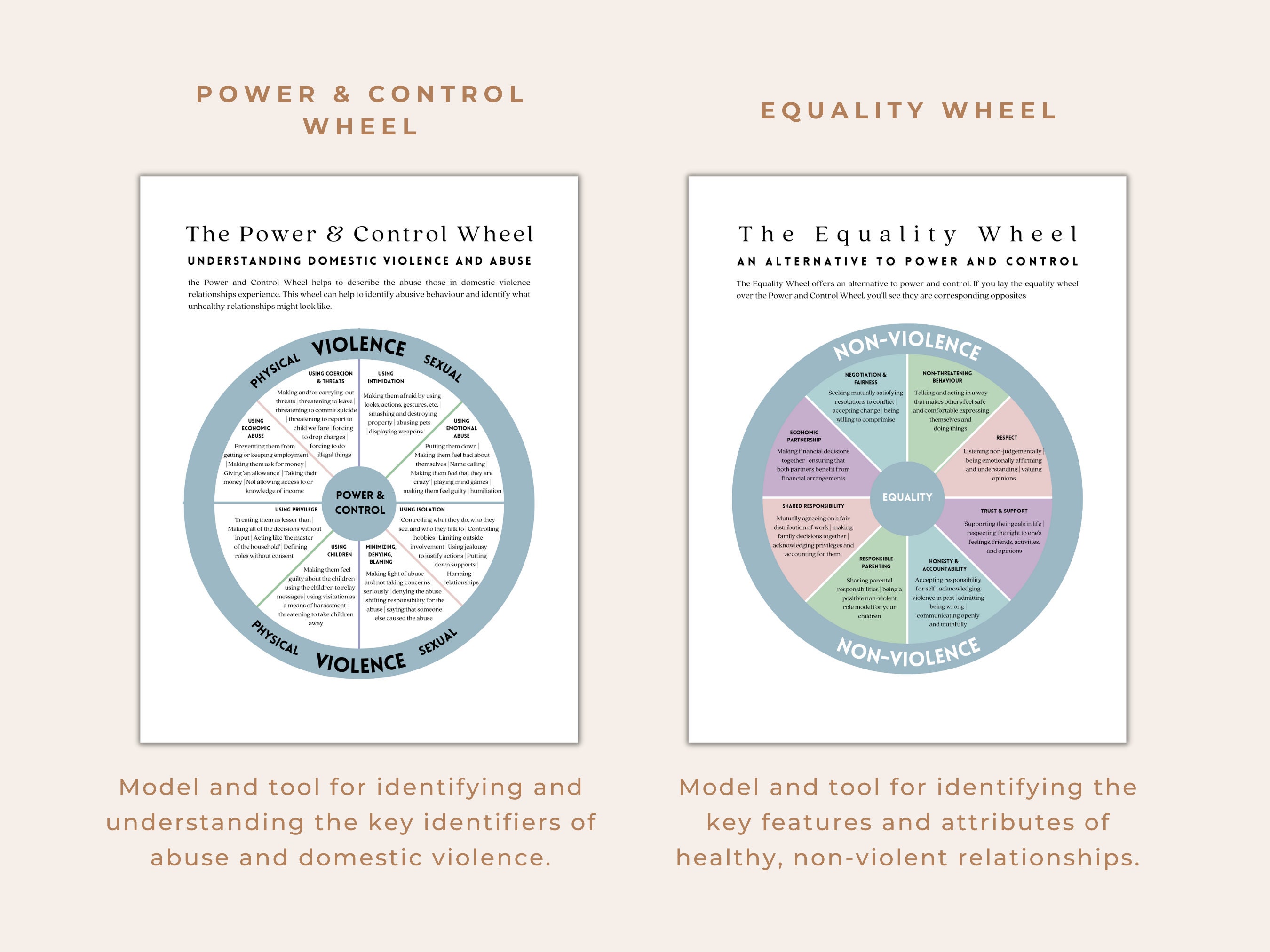 The Power and Control Wheel and the Equality Wheel Tool for Gender ...