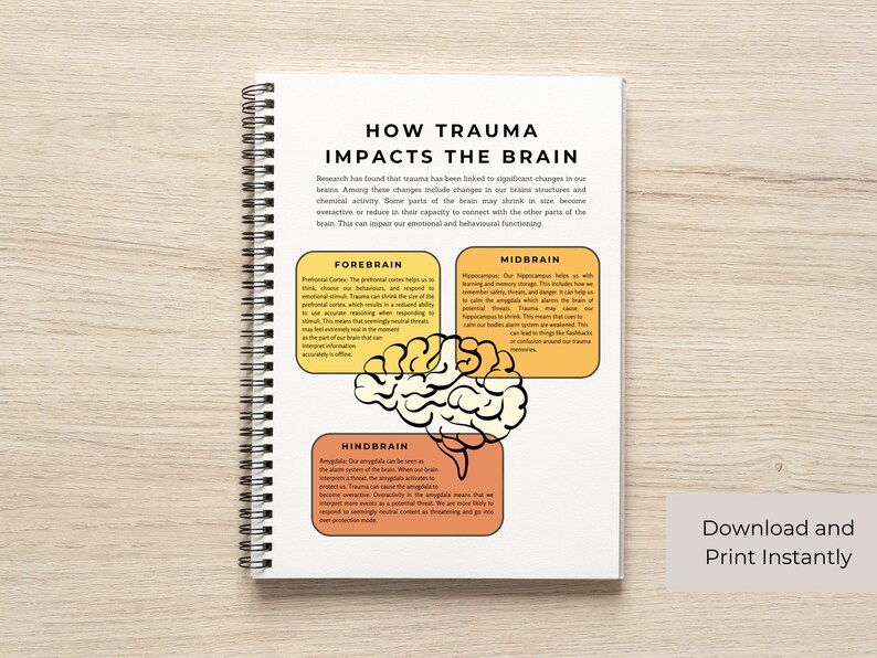 Trauma and Trauma Informed Care Educational Bundle image 5