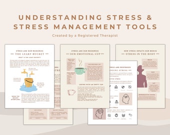 Stress und Stressbewältigung verstehen Psychoedukative Werkzeuge und Ressourcen für Psychiatrie-Profis und -Berater | Plakate