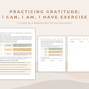  Mon Journal De Gratitude: Carnet de Gratitude Anti-Stress pour  activer les Pouvoirs de la Gratitude, 5 Minutes Journal