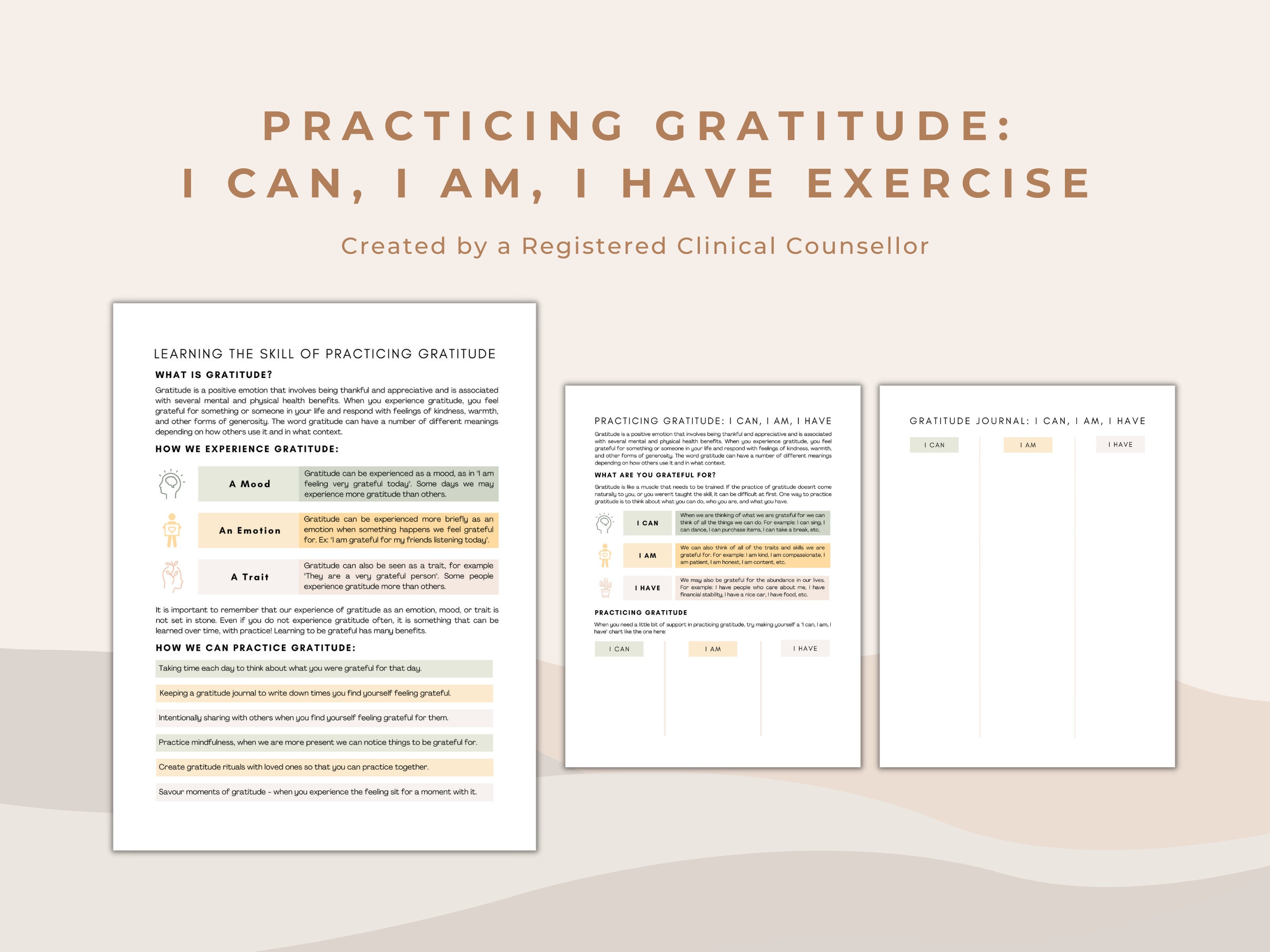 Gratitude Exercise and Journal for Learning the Practice of Gratefulness | I Can, I Am, I Have Therapeutic Worksheet