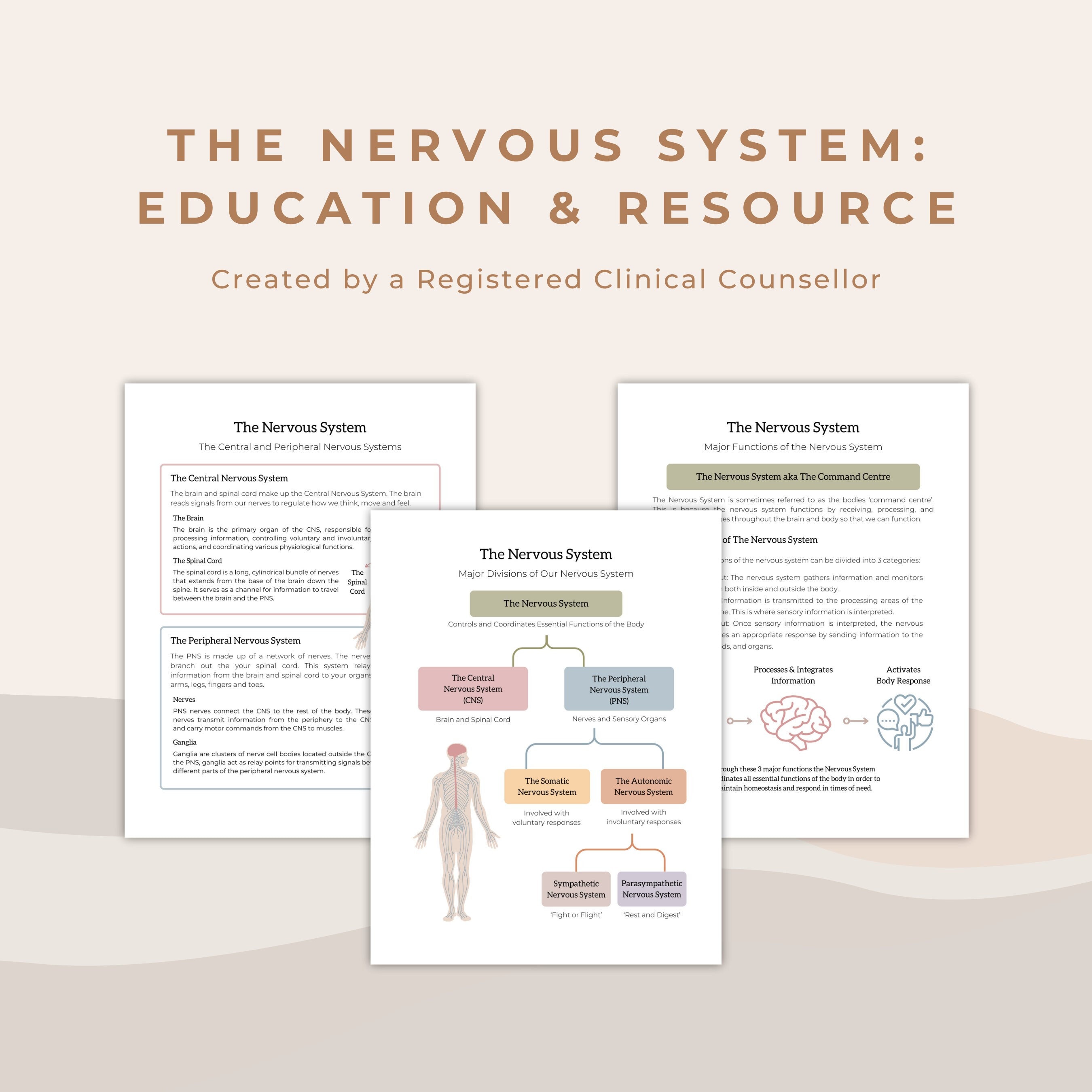The Nervous System: Understanding the Bodies Physiological Functioning ...