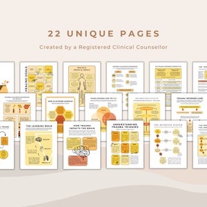 Trauma and Trauma Informed Care Educational Bundle image 2