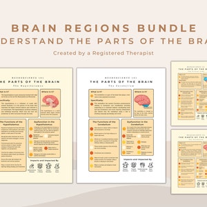 The Brain Regions and Their Function Neuroscience Psychoeducation Tool for Mental Health Professionals, Therapists and School Counsellors