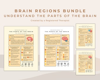 Brain Regions Guide: Neuroscience Psychoeducation Tool (PDF)