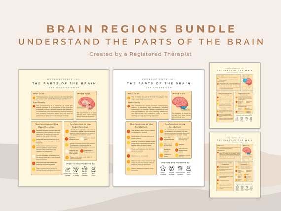 Brain Regions Guide: Neuroscience Psychoeducation Tool (PDF)