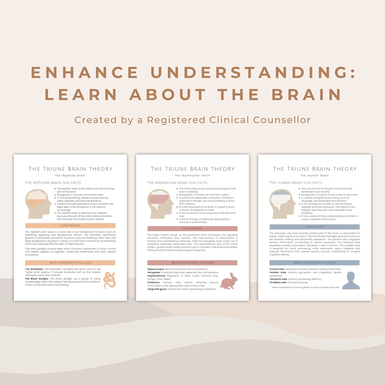 The Triune Brain Model of Brain Development | Neuroscience ...