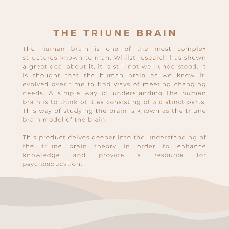 The Triune Brain Model of Brain Development | Neuroscience ...