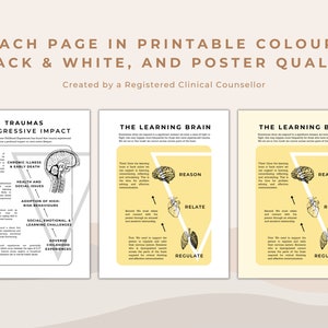 Trauma and Trauma Informed Care Educational Bundle image 6
