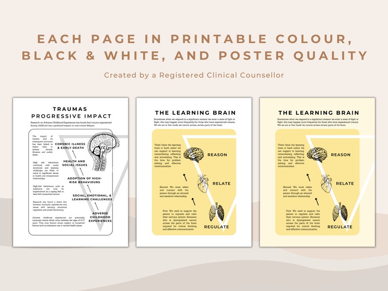 Trauma and Trauma Informed Care Educational Bundle image 6