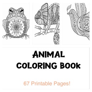Libro da colorare sugli animali *digitale*