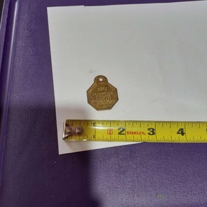 Vintage 1952 Brass Rabies Vaccinated Dog Tag