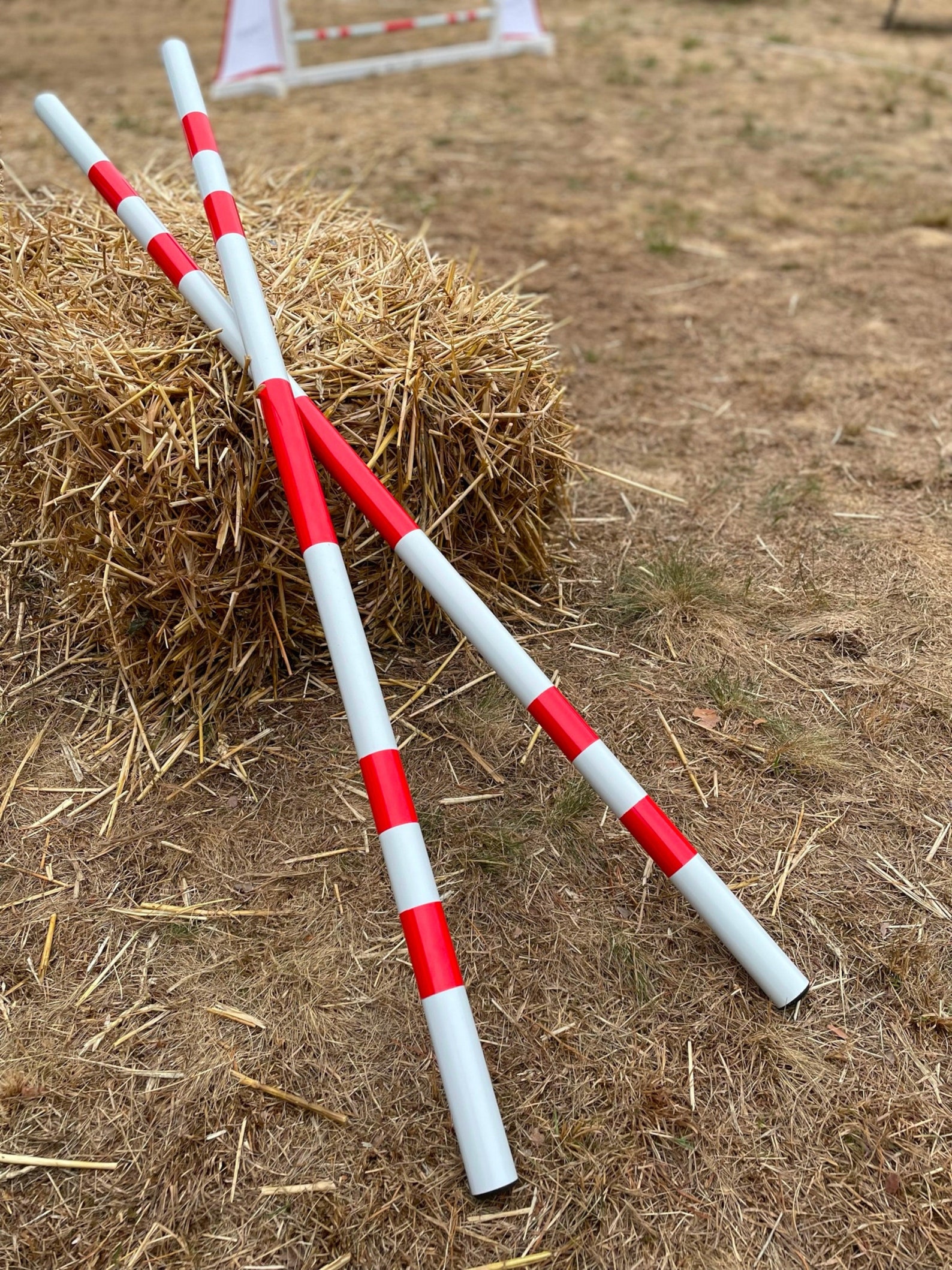 Hobby Horse Jumping Bar, Pack of 2, Obstacle Bar, Trotting Bar for