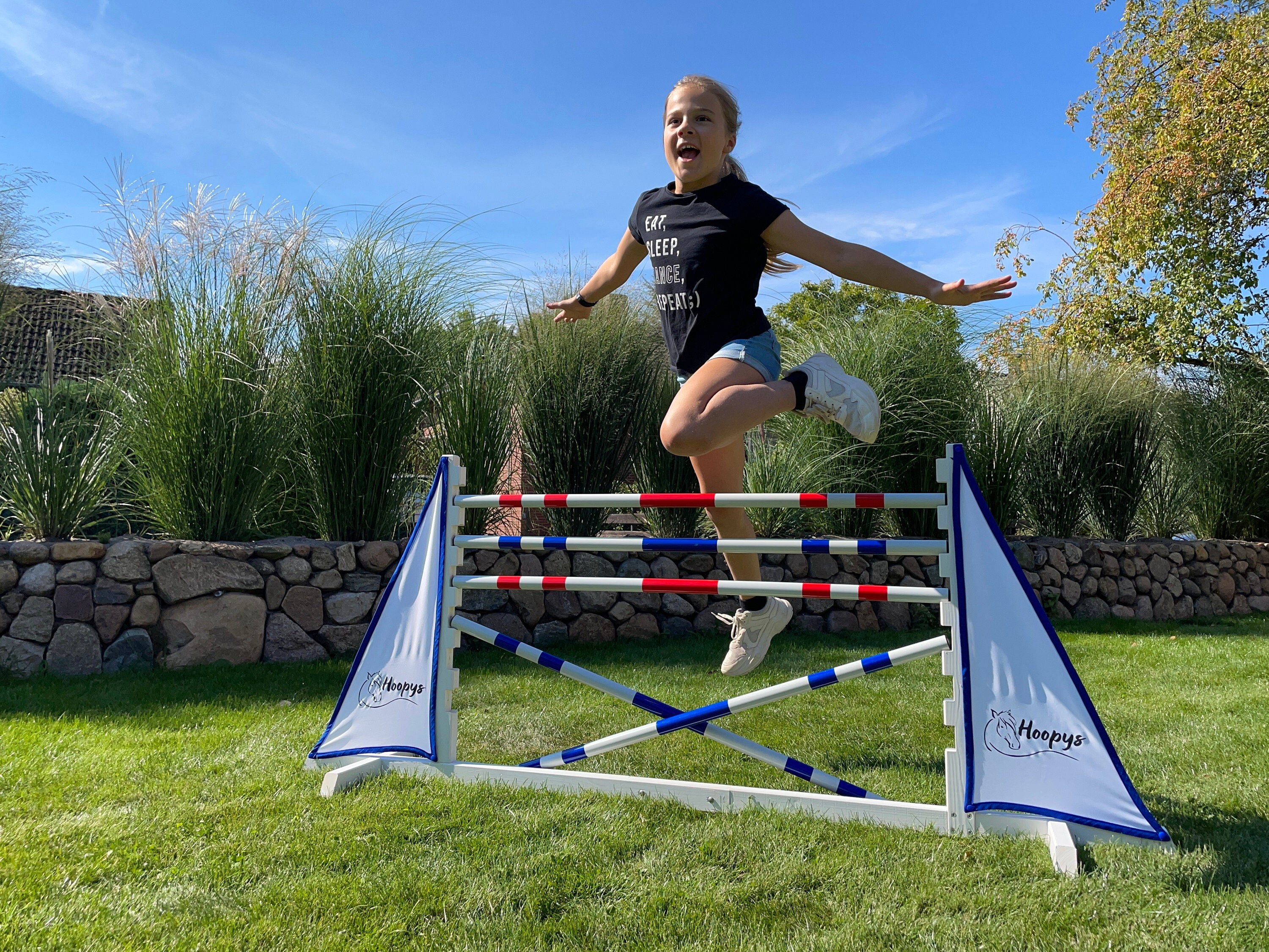 Hobby Horse Jumping Obstacles Obstacles Children s Jumps Hobby 
