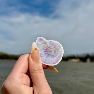 May include: A close-up of a white seashell with iridescent purple and blue hues. The shell has a spiral pattern and is held in a hand with a gold ring.