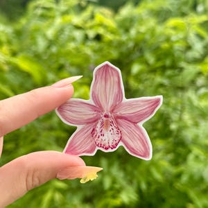 May include: A sticker featuring a pink orchid flower with detailed petals and a speckled center. The sticker is held against a blurred green background, showcasing the flower's delicate design and color.
