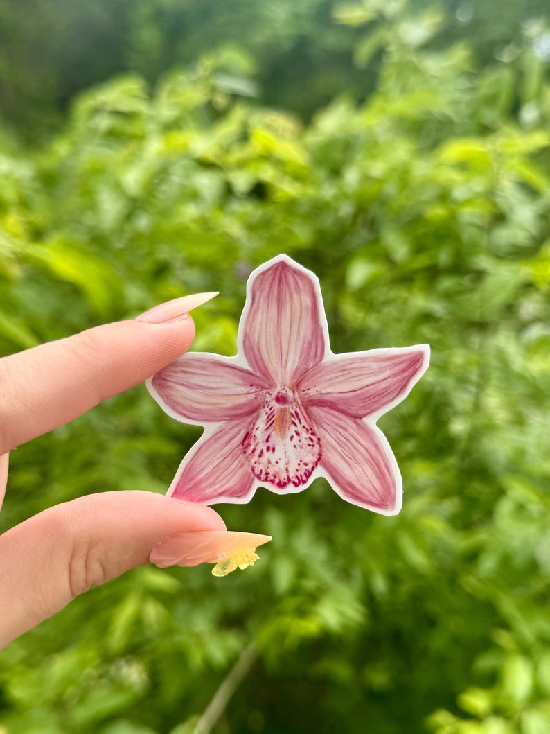 May include: A sticker featuring a pink orchid flower with detailed petals and a speckled center. The sticker is held against a blurred green background, showcasing the flower's delicate design and color.