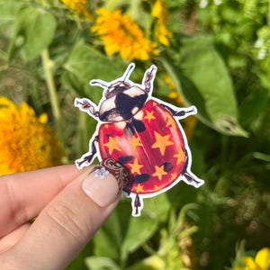 May include: A die-cut sticker featuring a ladybug with a red shell decorated with yellow stars and black spots. The ladybug has a black and white head and thorax with thin black legs extending from the sides. The design is rendered in a painterly style.