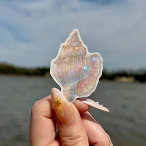 Sea Shell - Glossy Vinyl Sticker | Journal Sticker | Ocean Sticker | Waterproof | Kindle Sticker | Glitter Sticker
