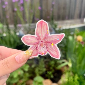 May include: A pink orchid sticker with a detailed watercolor design. The sticker features a light pink color with darker pink accents and a speckled center. Glittery star-shaped embellishments are scattered across the petals. The sticker is held up against a blurred green background.