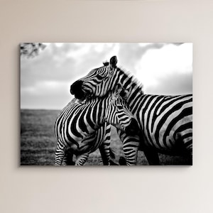 Black and White Animal Wall Art Print, A pair of Beautiful Zebras, High Quality Photography Print in Print or Canvas