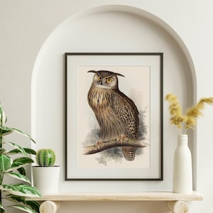 Vintage Owl Painting, Beautiful Eagle Owl in Print or in Canvas