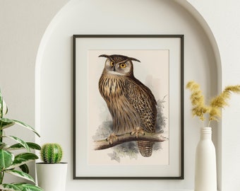 Vintage Owl Painting, Beautiful Eagle Owl in Print or in Canvas