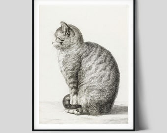 Cat Drawing Wall Art, Cat Illustration Art Print, Fine Detailed Cat Sketches, Minimalist Wall Decor, Cat&#39;s Lover Art Print