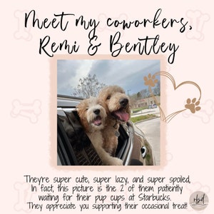 May include: Two dogs, a golden doodle and a white and brown doodle, are looking out the window of a car. The dogs are smiling and appear to be happy. The text "Meet my coworkers, Remi & Bentley" is at the top of the image. The text "They're super cute, super lazy, and super spoiled. In fact, this picture is the 2 of them patiently waiting for their pup cups at Starbucks. They appreciate you supporting their occasional treat!" is at the bottom of the image.