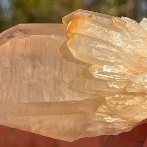 143 Grams Himalayan Elestial Angel Pink Elestial Flower Cluster