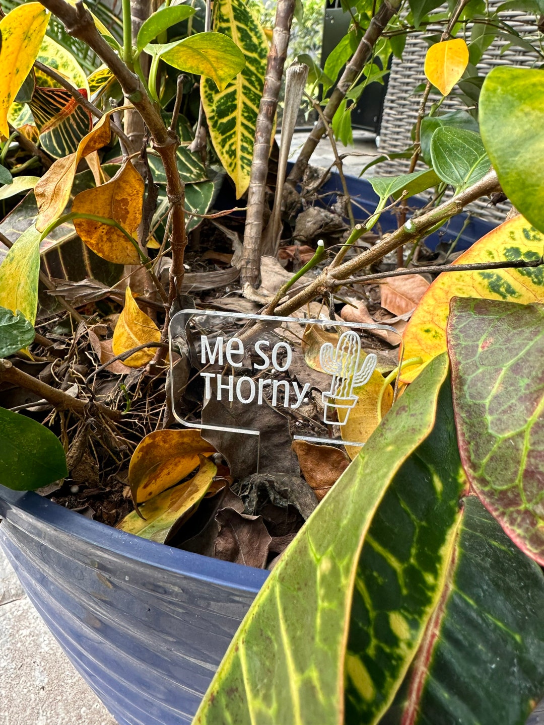 Funny Plant Stakes, Plant Label, Garden Stake, Garden Label, Plant Sign