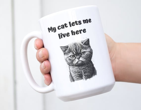 My Cat Lets Me Live Here Coffee Tea Mug Cup 15 Oz Ceramic White Grumpy Cat  by Mugzan NEW - Etsy UK