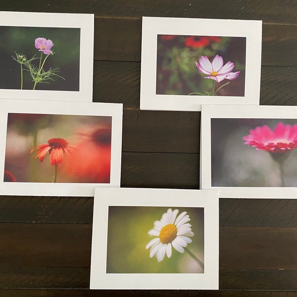 5 Flower Photo Note Cards with envelope - blank inside - Photo Note Cards - Nature