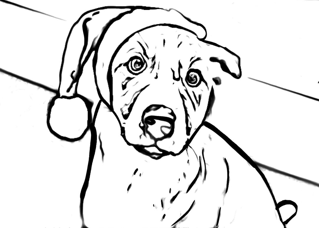 Christmas Dog Coloring Page - Etsy