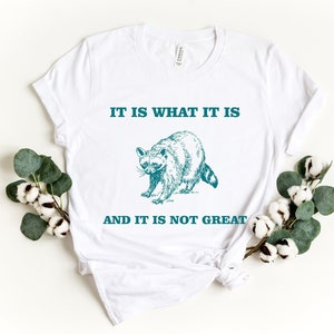It Is What It Is And It Is Not Great, Vintage Drawing Shirt, Raccoon Meme T-Shirt, Funny Trash Panda Shirt, Unisex Tee