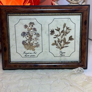 Joanna Sheen 押し花アート 額装フレーム 英国製 Joanna Sheen 押し花アート 額縁付 英国製 Joanna Sheen 押し花