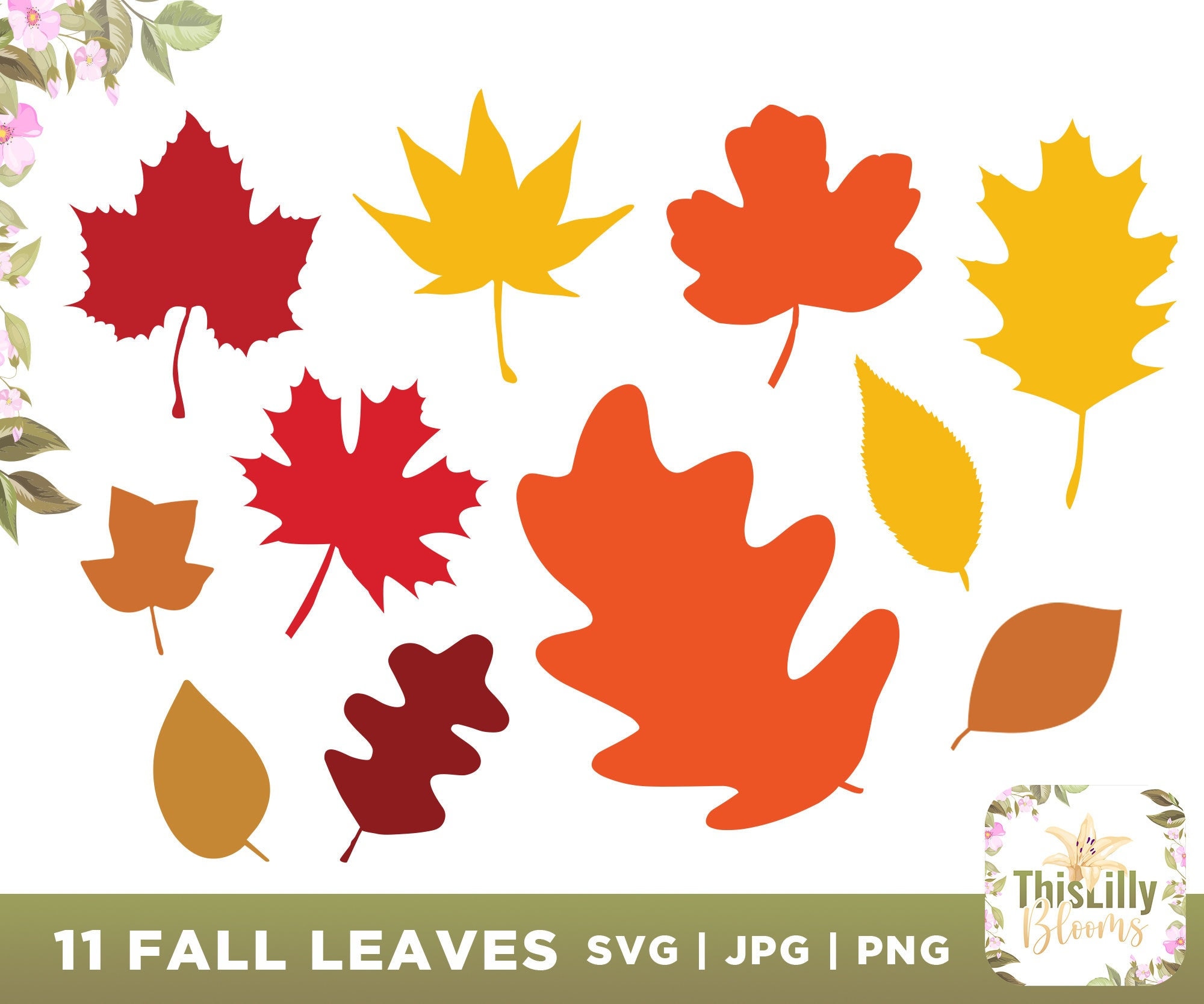 Fall Leaves Svg Fall Leaf Svg Bundle Fall Svg Fall Png - Etsy Canada